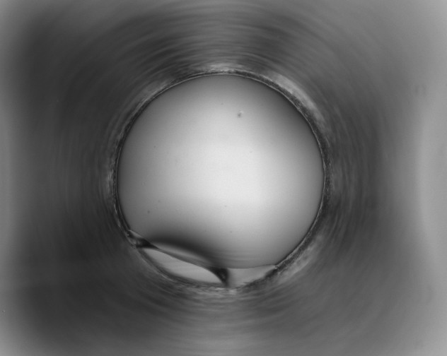 X0000089680801200707201659