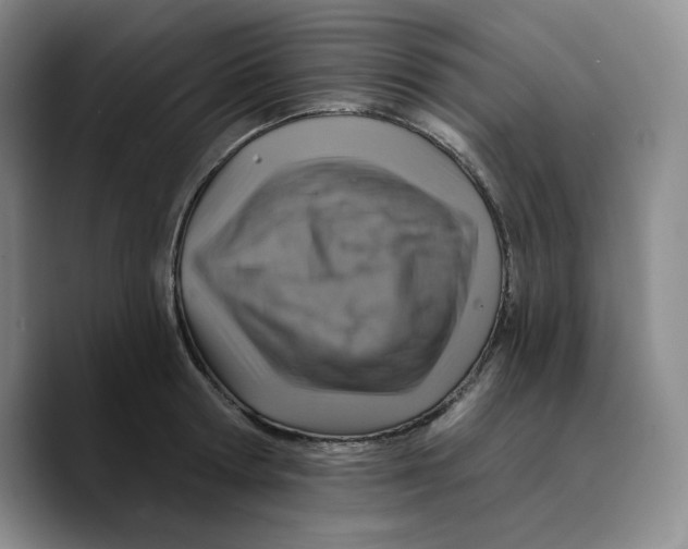 X0000089680802200707201659