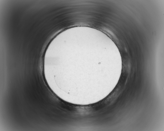 X0000089680804200707201659