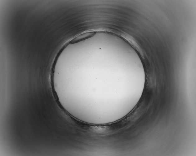 X0000089680805200707201659