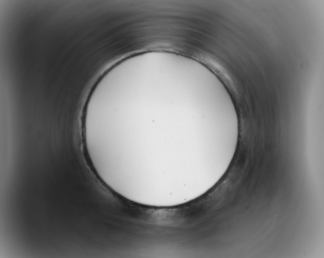X0000089680808200707201658