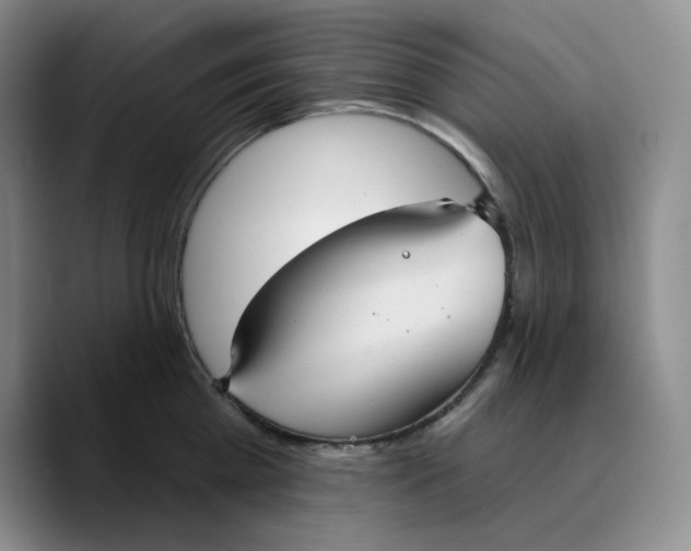 X0000089680809200707201658