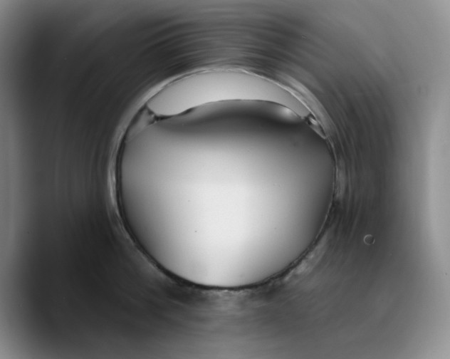 X0000089680812200707201658