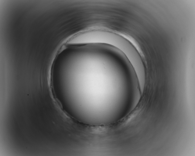 X0000089680815200707201658