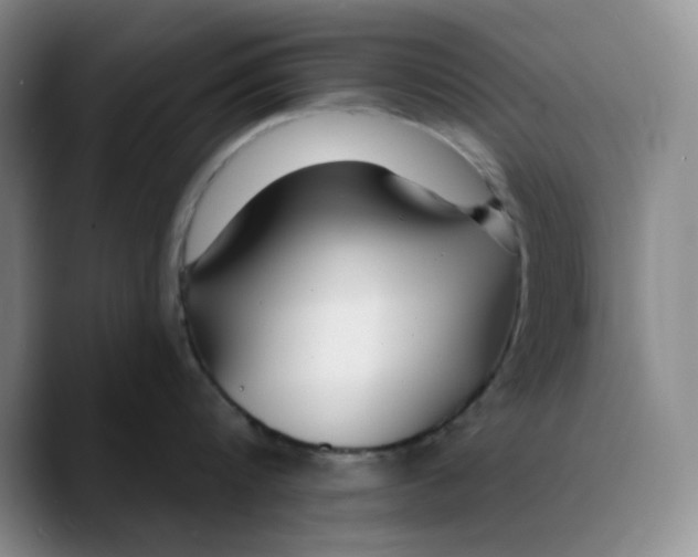 X0000089680816200707201658