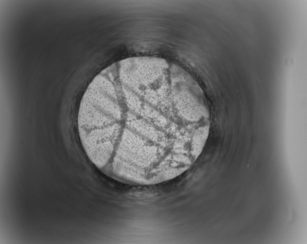 X0000089680817200707201658