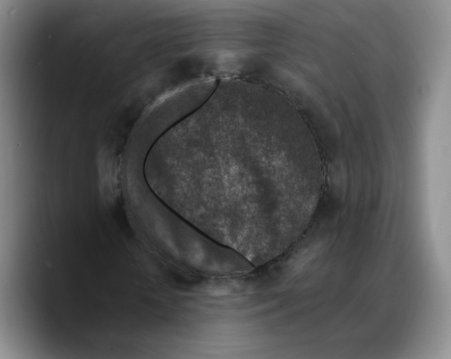 X0000089680818200707201658
