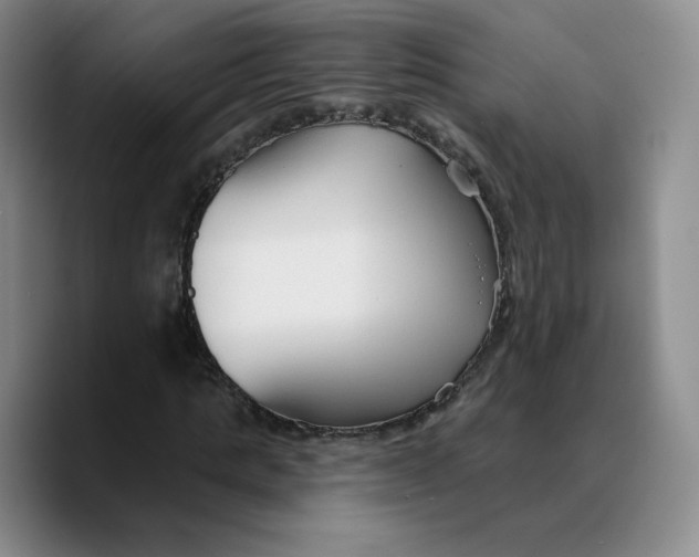 X0000089680821200707201658