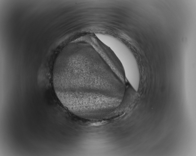 X0000089680822200707201658
