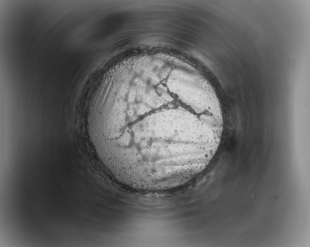 X0000089680823200707201658