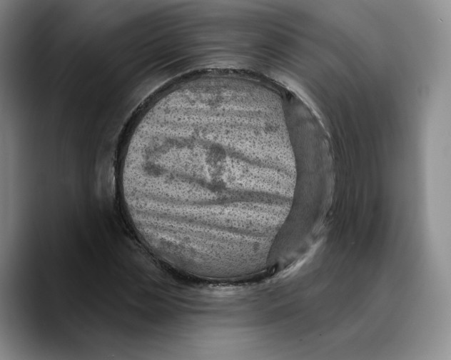 X0000089680829200707201658