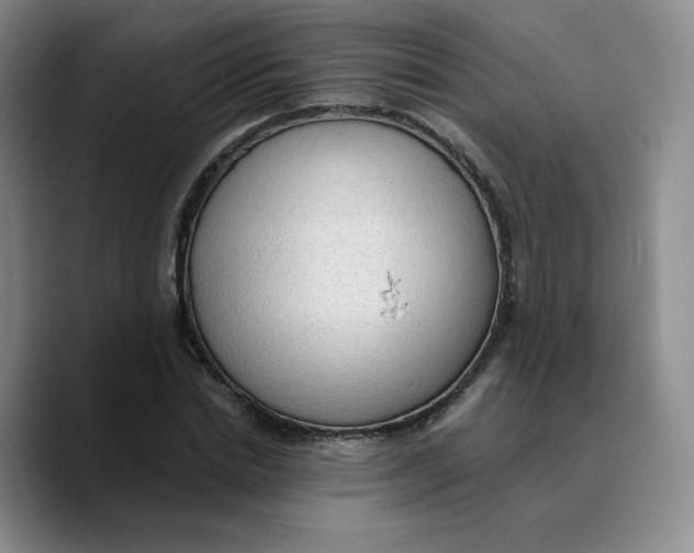 X0000089680830200707201658