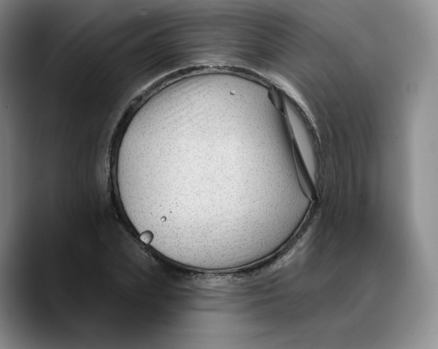 X0000089680831200707201658