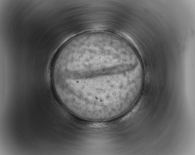 X0000089680835200707201658