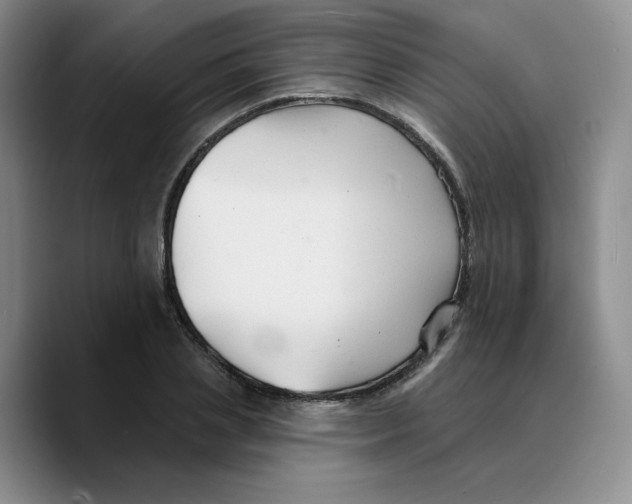 X0000089680837200707201658
