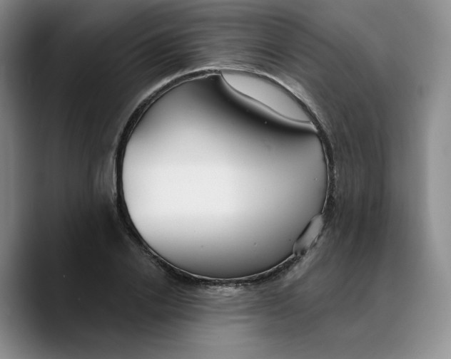 X0000089680838200707201658
