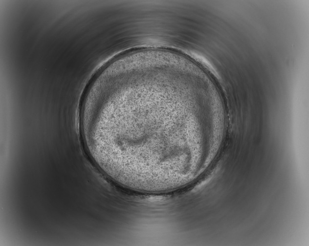 X0000089680839200707201658