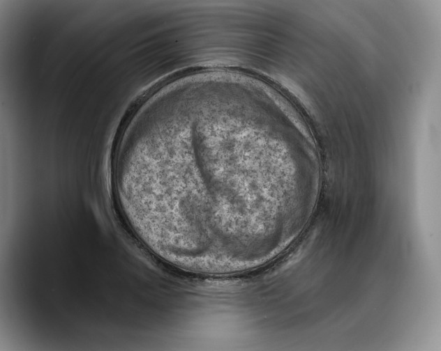 X0000089680840200707201658