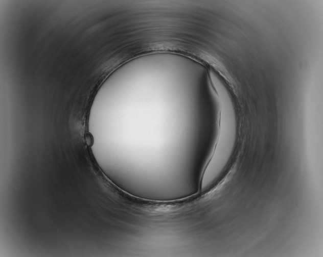X0000089680841200707201658
