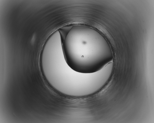 X0000089680842200707201658