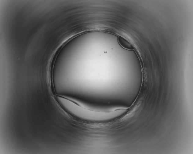 X0000089680843200707201658