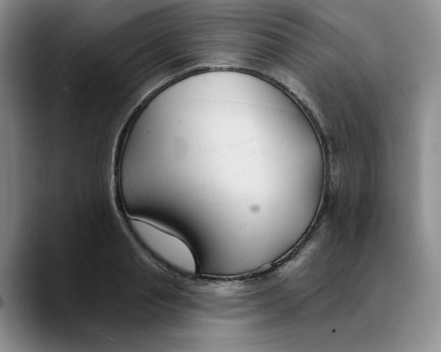 X0000089680845200707201658