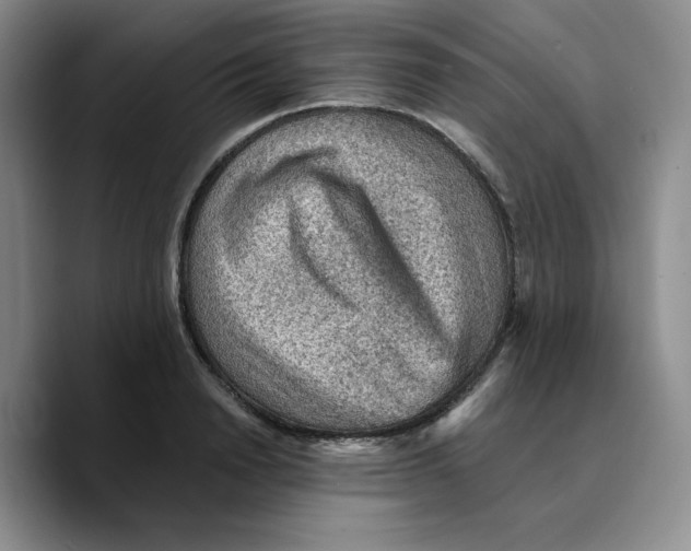X0000089680846200707201658
