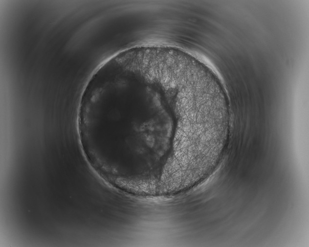 X0000089680847200707201658