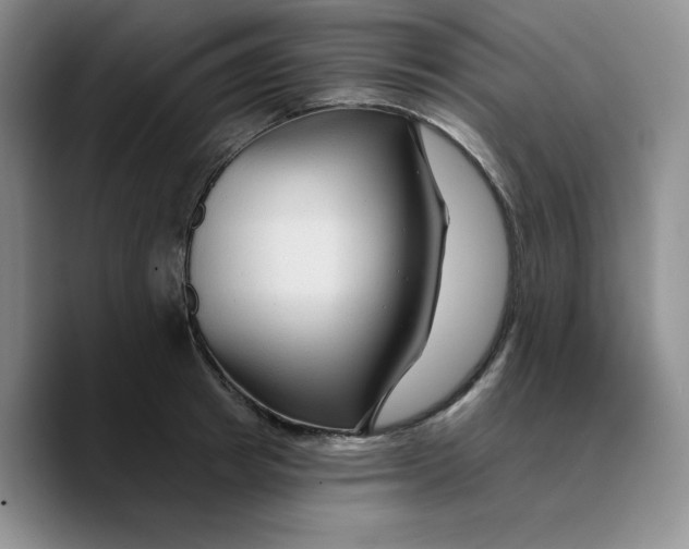 X0000089680849200707201658
