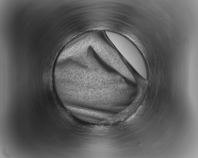 X0000089680850200707201658