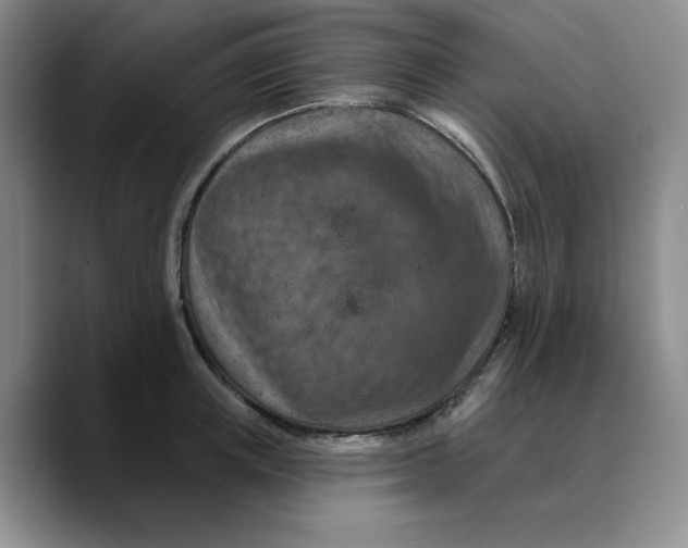 X0000089680851200707201658