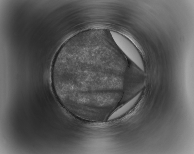 X0000089680853200707201658