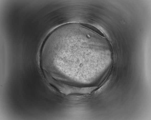 X0000089680854200707201658