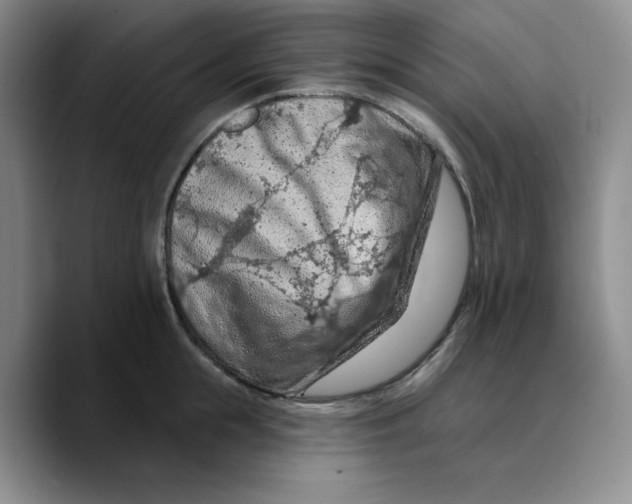 X0000089680855200707201658