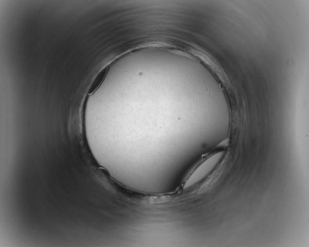 X0000089680858200707201658