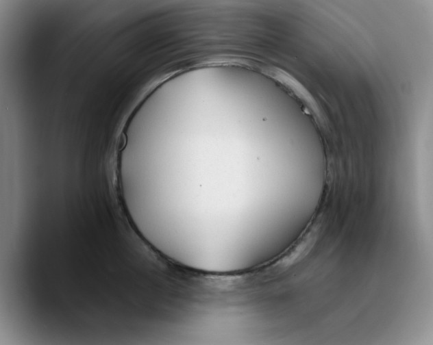 X0000089680860200707201658