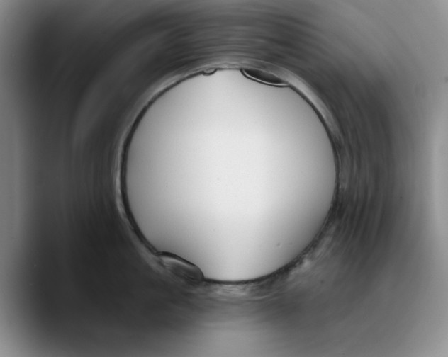 X0000089680861200707201658