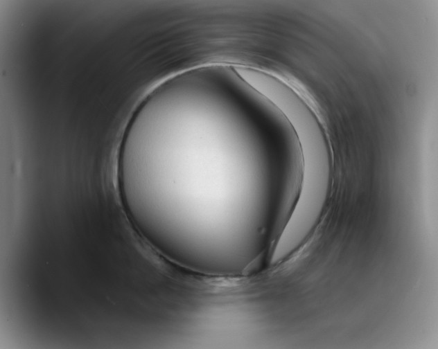 X0000089680862200707201658