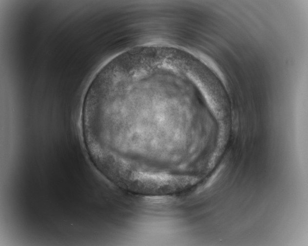 X0000089680863200707201658
