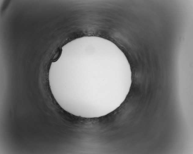 X0000089680865200707201658
