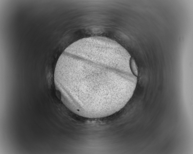 X0000089680866200707201658