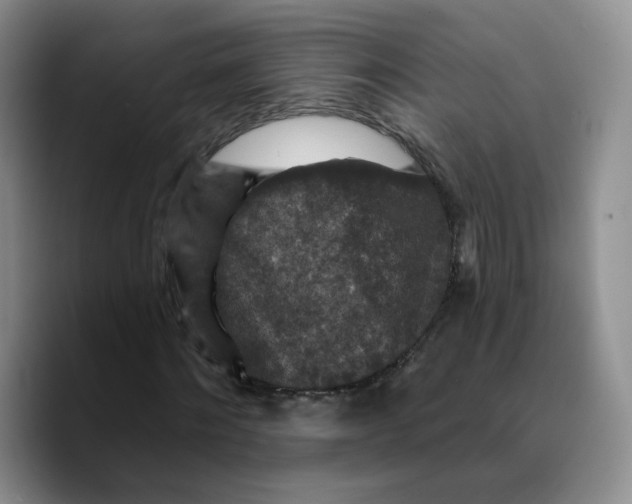 X0000089680868200707201658