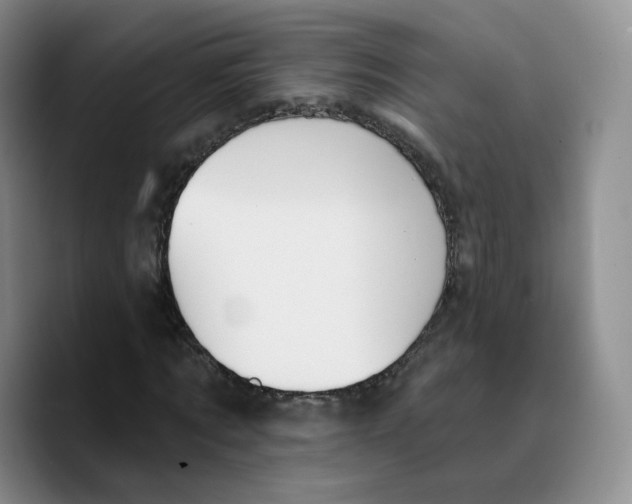 X0000089680869200707201658