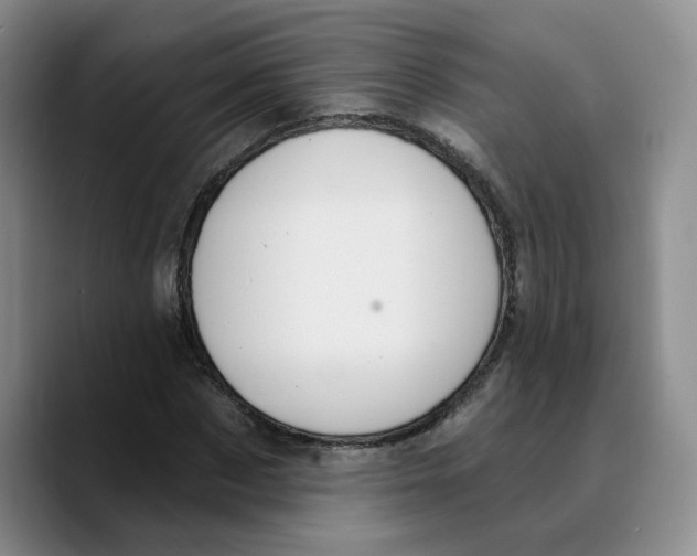 X0000089680873200707201658
