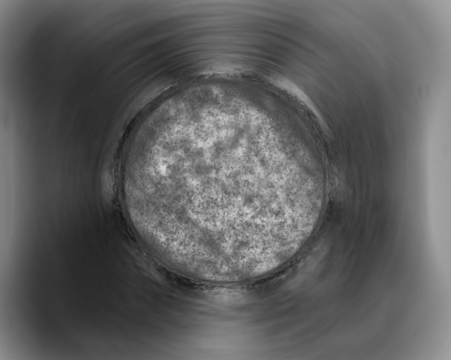 X0000089680874200707201658
