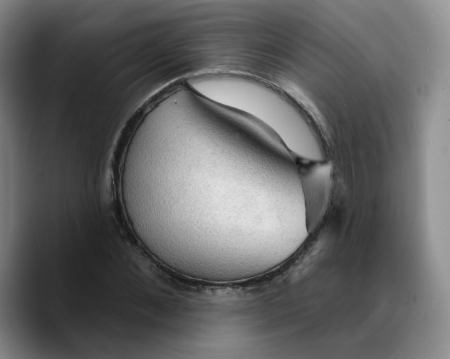 X0000089680876200707201658