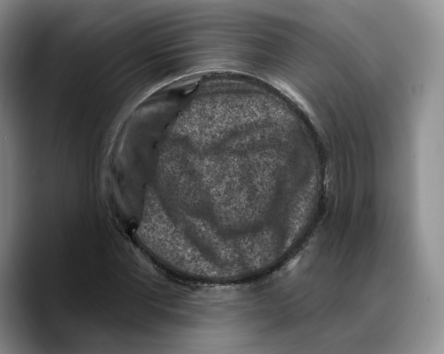 X0000089680877200707201658