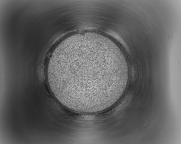 X0000089680878200707201658