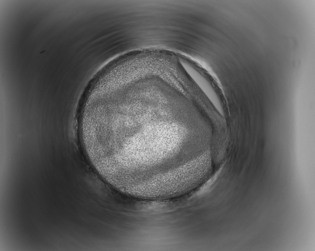 X0000089680879200707201658