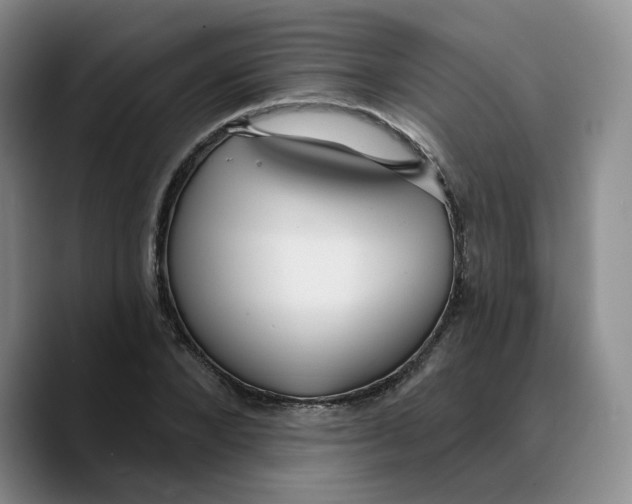 X0000089680880200707201658